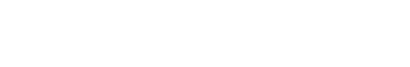 International Transport Services LLC